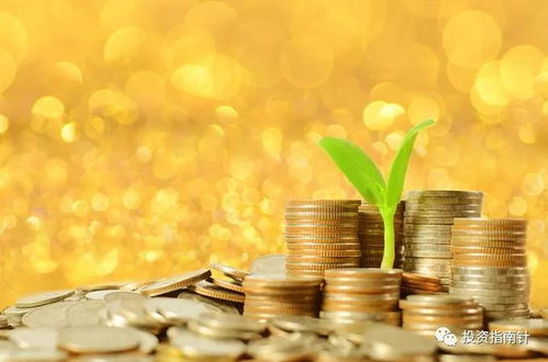 投資23年，我一直堅守的四條紅線