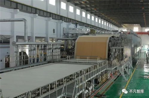 紙價“漲聲”再起 是消費囤貨，還是理性應對？——兼論個人投資管理的視角